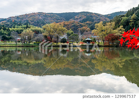 被紅葉包圍的上光寺公園 被紅葉包圍的上光寺公園 129967537
