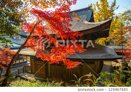 被秋葉包圍的常光寺 被秋葉包圍的常光寺 129967885