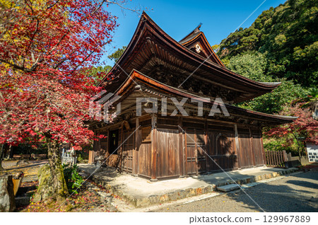 被秋葉包圍的常光寺 被秋葉包圍的常光寺 129967889