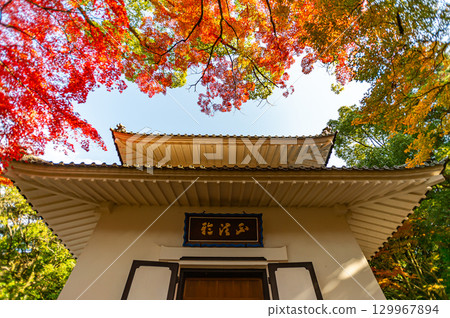 Jokoji Temple surrounded by autumn leaves Jokoji Temple surrounded by autumn leaves 129967894