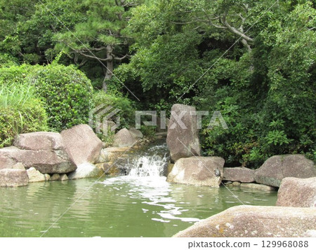 濱池瀑布旁一塊大岩石上的烏龜 濱池瀑布旁一塊大岩石上的烏龜 129968088