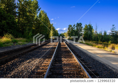 Railway Tracks Leading Through a Green Forest Under Blue Sky Railway Tracks Leading Through a Green Forest Under Blue Sky 129968310