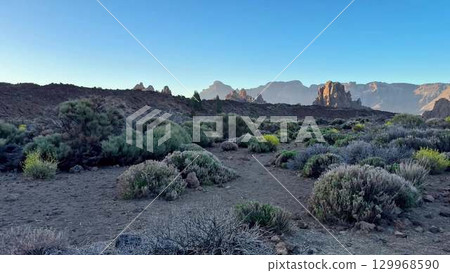 A Stunning and Breathtaking Natural Landscape Rich with Unique Flora and Rocky Terrain 129968590