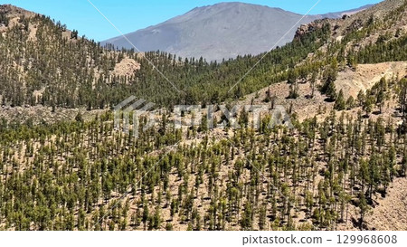 A Breathtaking Mountain Landscape that showcases Vibrant Forests and scenic beauty all around 129968608