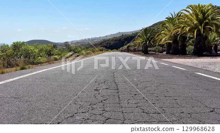 A Scenic Road Graced with Beautiful Palm Trees Set Against a Clear Blue Sky Above 129968628