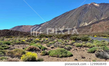 The Vibrant and Stunning Landscape of Teide National Park, located in Tenerife, Spain 129968649