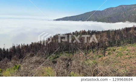 Breathtaking and Stunning View of the CloudCovered Mountains After a Devastating Wildfire 129968684