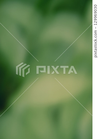 Fresh green reflected on the surface of the water 129969030