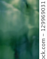 Fresh greenery reflected on the water surface 129969031