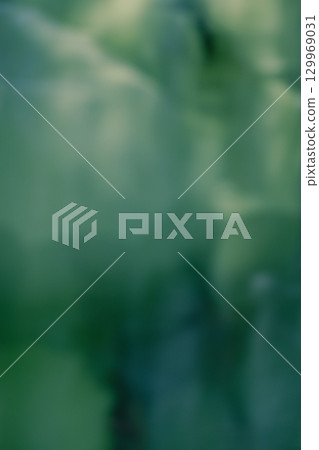 Fresh greenery reflected on the water surface 129969031