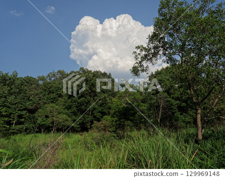 Summer clouds 129969148