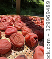Sun-dried Umeboshi 02 129969489