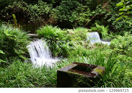 夏末的池山泉 129969725