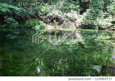 Ikeyama Springs in late summer Ikeyama Springs in late summer 129969727