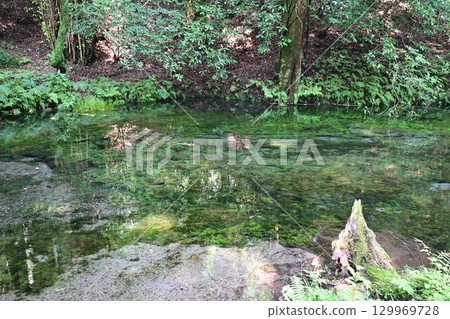 Ikeyama Springs in late summer 129969728