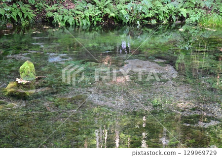 Ikeyama Springs in late summer 129969729