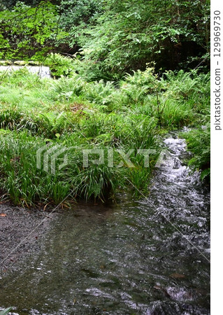Ikeyama Springs in late summer Ikeyama Springs in late summer 129969730