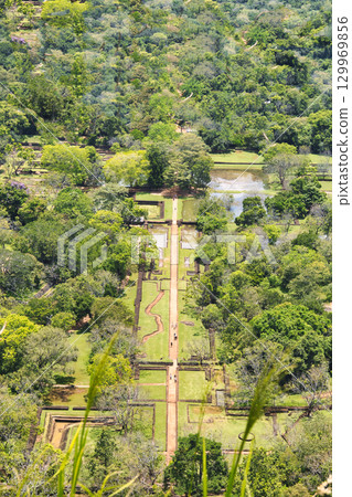 The road to the ancient ruins of Sigiriya Rock 129969856