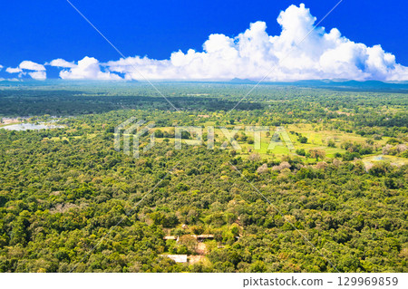 Forest scenery around Sigiriya Rock 129969859
