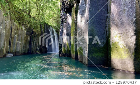 柱狀節理、新綠、真名井瀑布的水花、碧綠的水面（宮崎縣高千穗町高千穗峽） 129970437