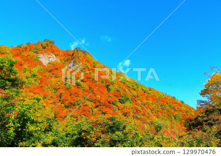 鳴子峽清爽的藍天和鮮豔的秋葉 129970476