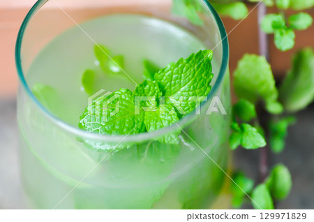 Mojito or cocktail ,mocktail or lime juice or lemon juice, lemon soda or tonic or soda and peppermint leaf 129971829