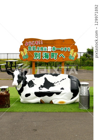 [Betsukai Town's "Odaito Roadside Station" - Signboard and cow-shaped chairs marking Japan's No. 1 raw milk production] 129971892