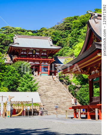 鎌倉鶴岡八幡宮神社和大石階 129971992