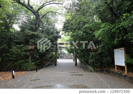 熱田神宮，第一鳥居[愛知縣名古屋] 129972300