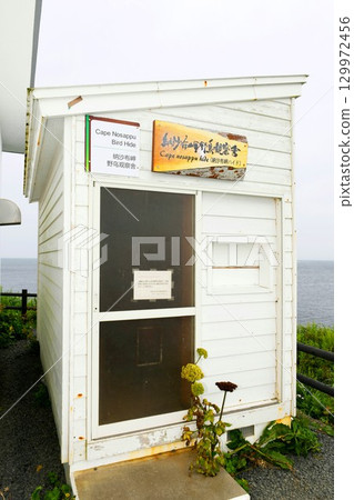 [Nemuro City, the easternmost point of mainland Japan, Hokkaido's oldest Western-style lighthouse, Cape Nosappu Lighthouse, Bird Observation Facility] 129972456