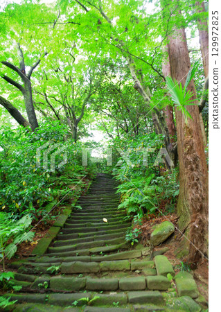 鎌倉瑞泉寺的石階 129972825