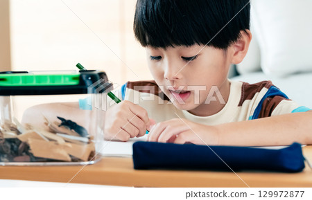 A boy in elementary school writing a diary of his observations of stag beetles 129972877