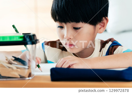 A boy in elementary school writing a diary of his observations of stag beetles 129972878