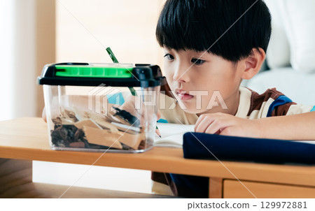 一名小學男孩正在寫日記，記錄他對鍬形蟲的觀察 129972881