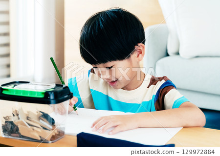 A boy in elementary school writing a diary of his observations of stag beetles 129972884