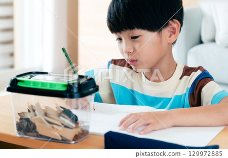 一名小學男孩正在寫日記,記錄他對鍬形蟲的觀察 一名小學男孩正在寫日記,記錄他對鍬形蟲的觀察 129972885