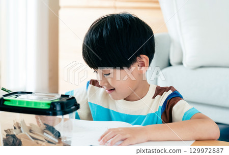 A boy in elementary school writing a diary of his observations of stag beetles 129972887