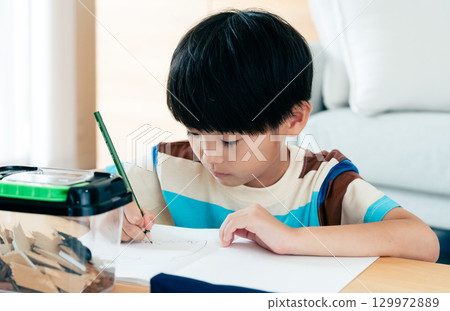 A boy in elementary school writing a diary of his observations of stag beetles 129972889