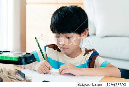 一名小學男孩正在寫日記,記錄他對鍬形蟲的觀察 一名小學男孩正在寫日記,記錄他對鍬形蟲的觀察 129972890