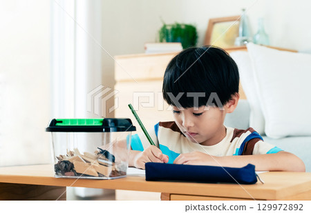 一名小學男孩正在寫日記，記錄他對鍬形蟲的觀察 129972892
