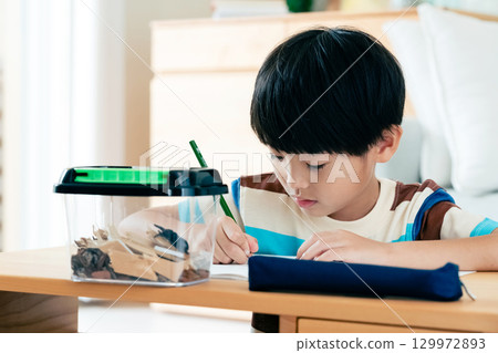 一名小學男孩正在寫日記,記錄他對鍬形蟲的觀察 一名小學男孩正在寫日記,記錄他對鍬形蟲的觀察 129972893