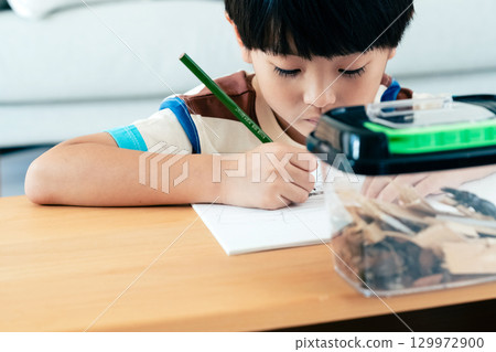 A boy in elementary school writing a diary of his observations of stag beetles A boy in elementary school writing a diary of his observations of stag beetles 129972900