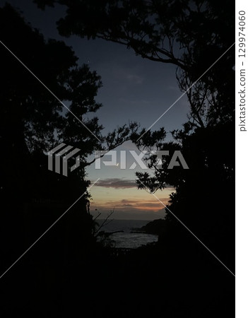 A beautiful moon and sunset seen through the trees A beautiful moon and sunset seen through the trees 129974060