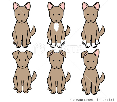 狗、救援犬、混種狗/棕色狗 狗、救援犬、混種狗/棕色狗 129974131