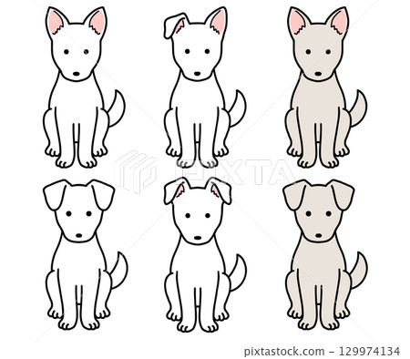狗、救援犬、混種狗/白狗 狗、救援犬、混種狗/白狗 129974134
