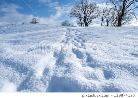 Footprints in fresh snow 129974156