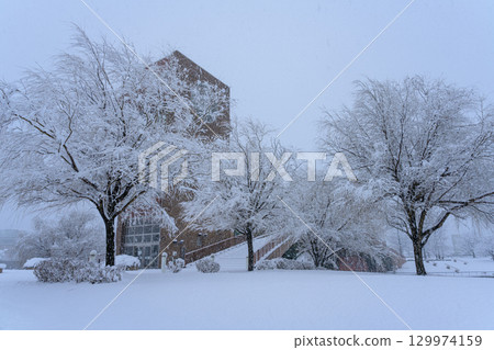 富山環水公園的雪景 129974159