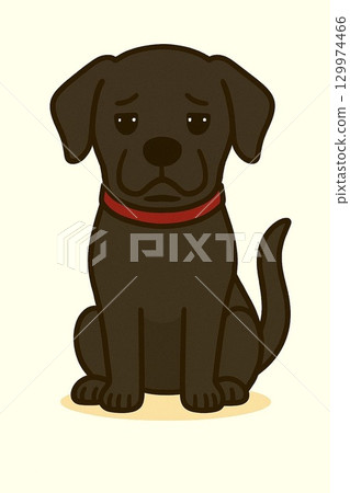 A sitting black dog A sitting black dog 129974466