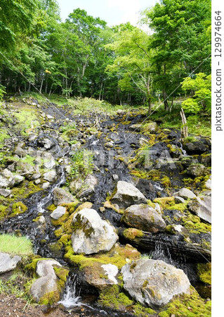 [Ashoro Town, Akan Mashu National Park, Nationally Designated Natural Monument "Onneto Hot Spring Waterfall"] 129974664