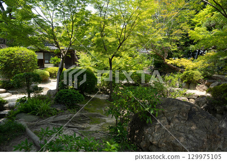 漫步愛知縣半田市的半六庭園（原中野半六宅邸庭園） 129975105